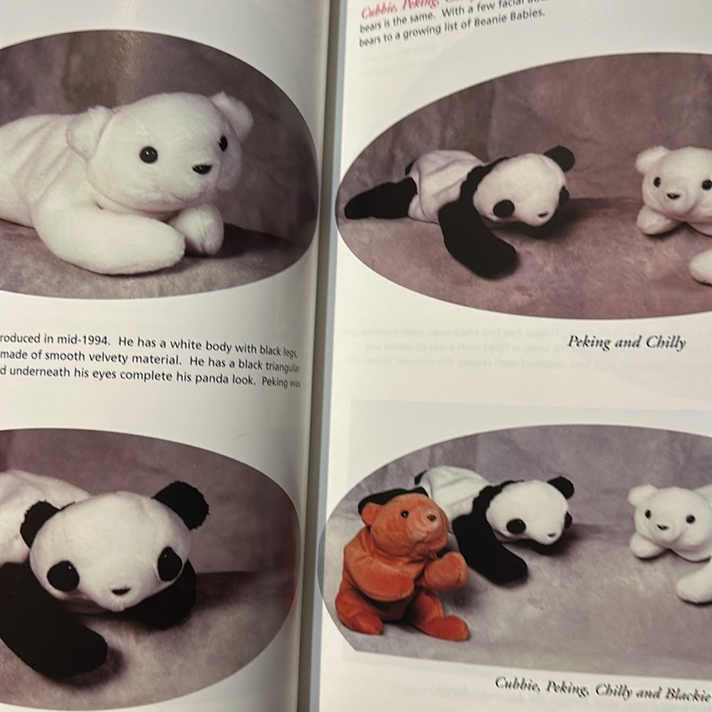 Book - Picture 2 of 5